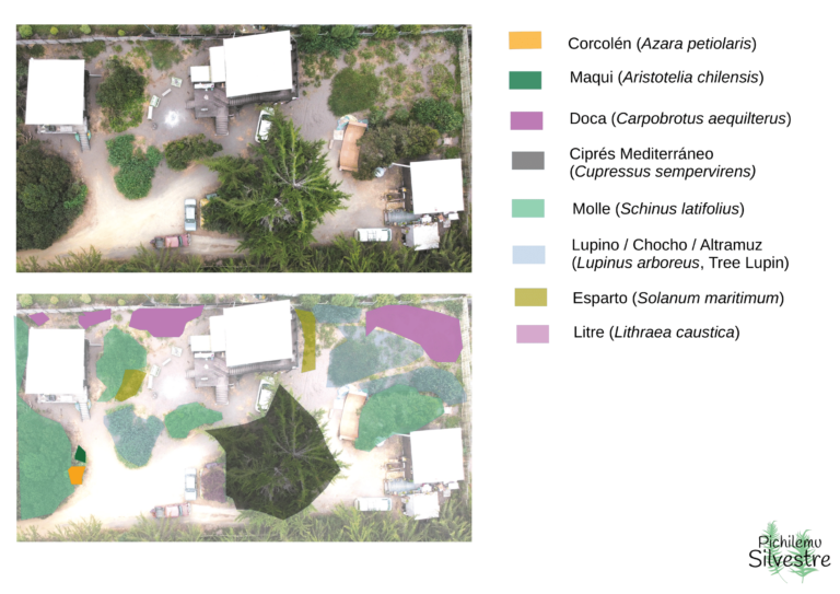 Mapa de Línea Base de Flora, Chile Central.